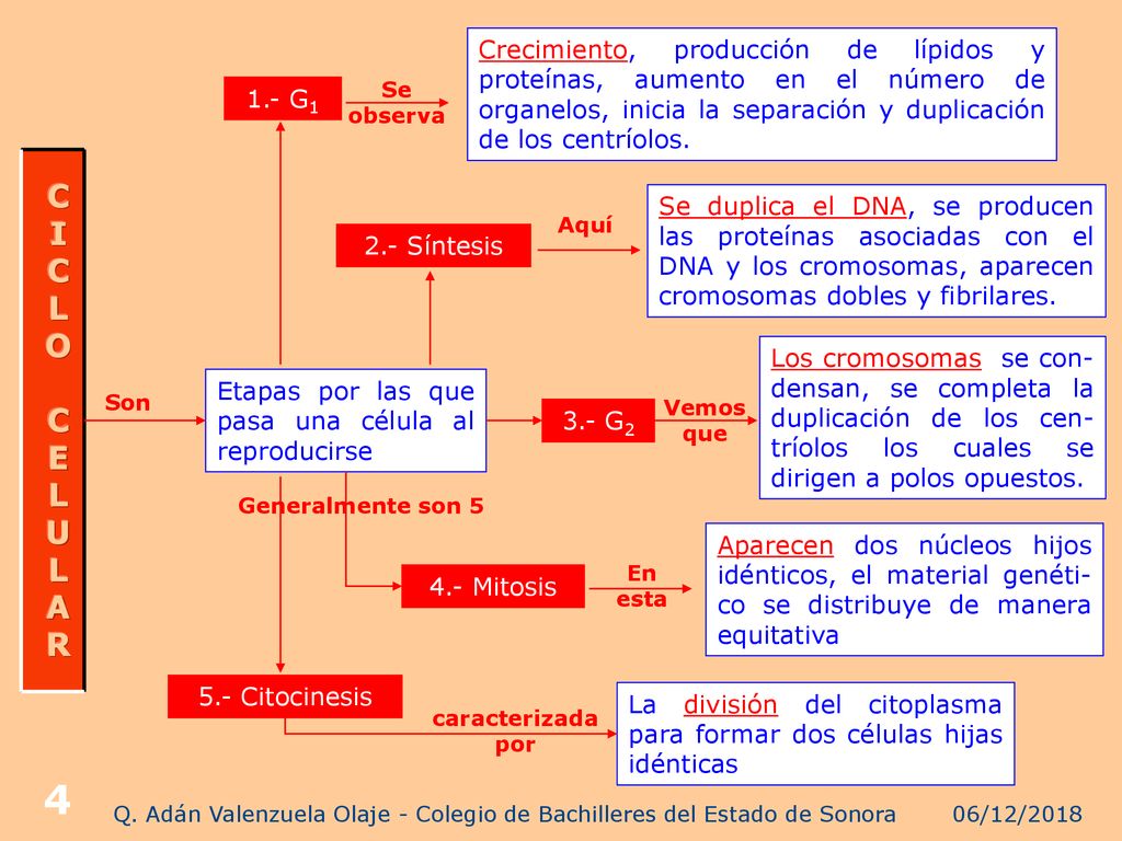 Q. Adán Valenzuela Olaje - Colegio de Bachilleres del Estado de Sonora