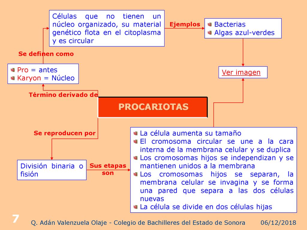 Q. Adán Valenzuela Olaje - Colegio de Bachilleres del Estado de Sonora