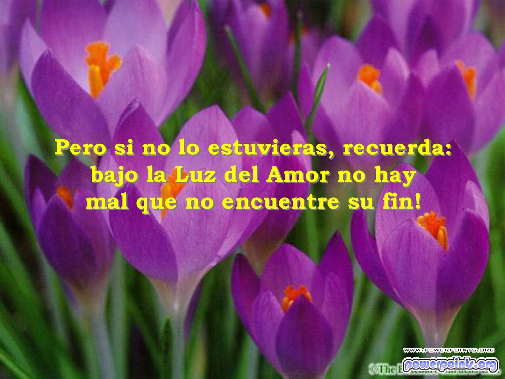 Pero si no lo estuvieras, recuerda: bajo la Luz del Amor no hay