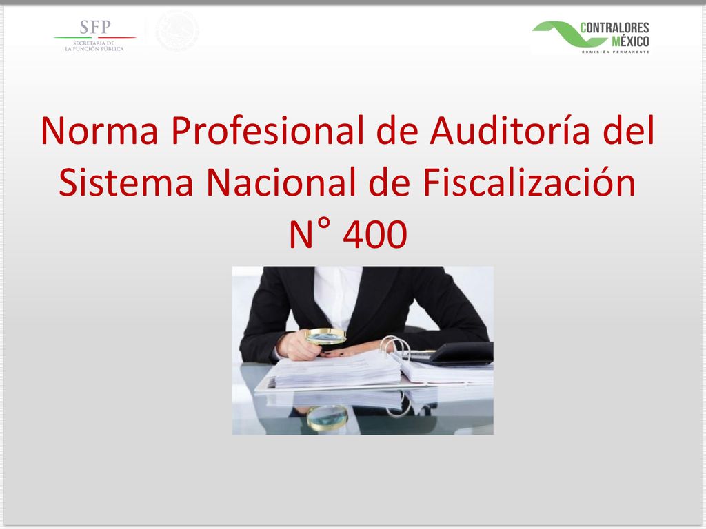 Norma Profesional de Auditoría del Sistema Nacional de Fiscalización N° 400