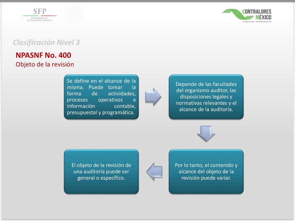 Clasificación Nivel 3 NPASNF No. 400 Objeto de la revisión