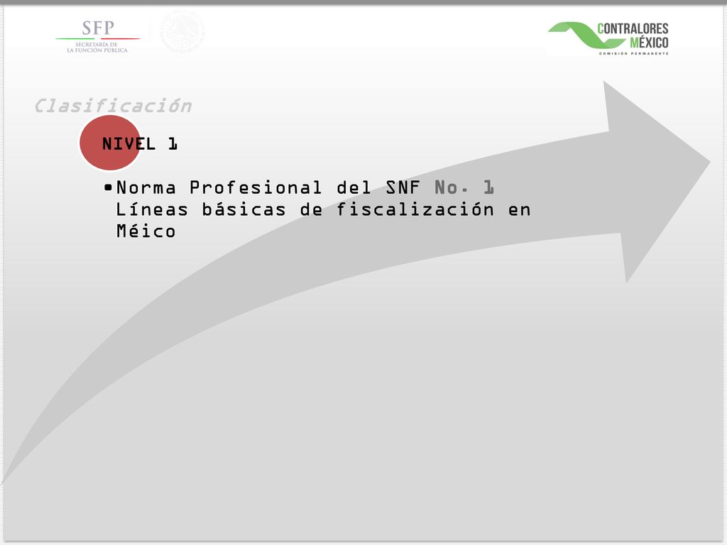 Clasificación NIVEL 1 Norma Profesional del SNF No. 1 Líneas básicas de fiscalización en Méico
