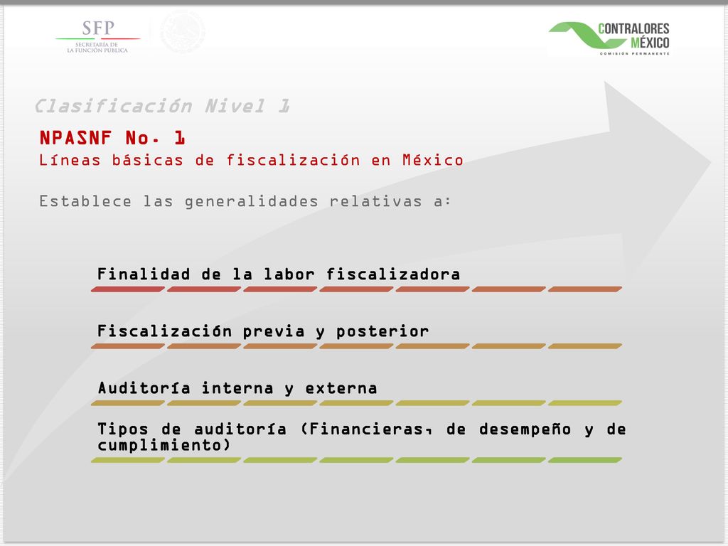 Clasificación Nivel 1 NPASNF No. 1 Finalidad de la labor fiscalizadora