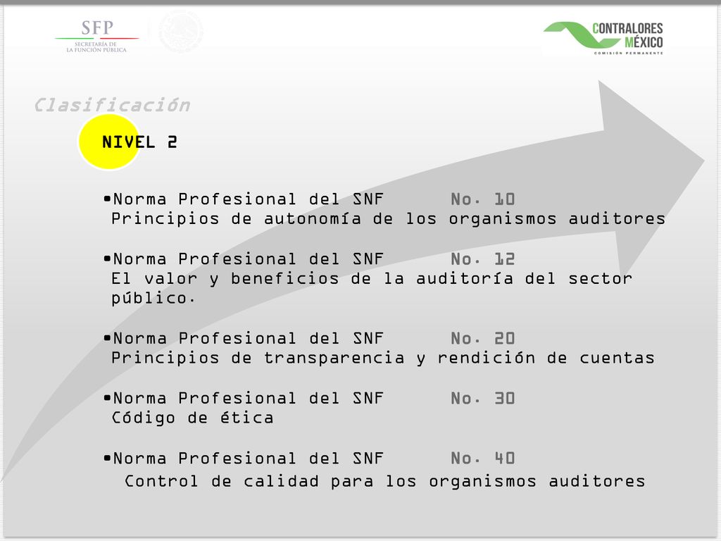 Clasificación NIVEL 2. Norma Profesional del SNF No. 10 Principios de autonomía de los organismos auditores.