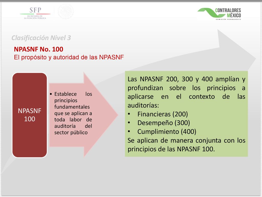 Se aplican de manera conjunta con los principios de las NPASNF 100.