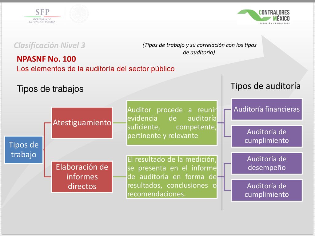 Tipos de auditoría Clasificación Nivel 3 NPASNF No. 100