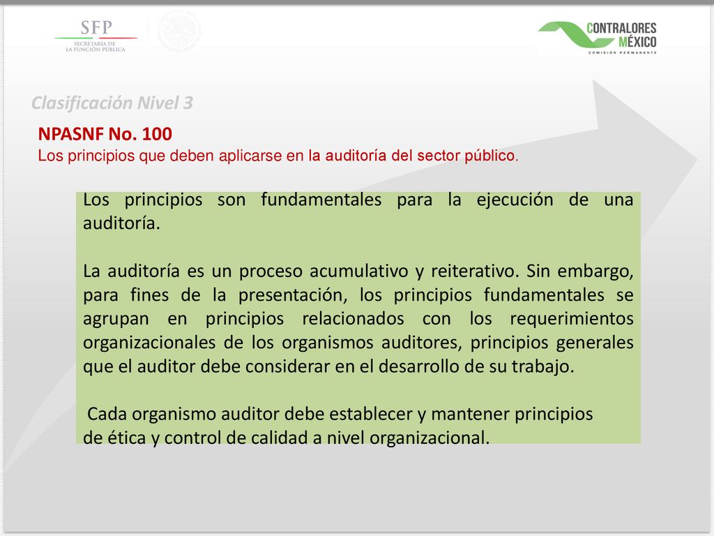 Los principios son fundamentales para la ejecución de una auditoría.