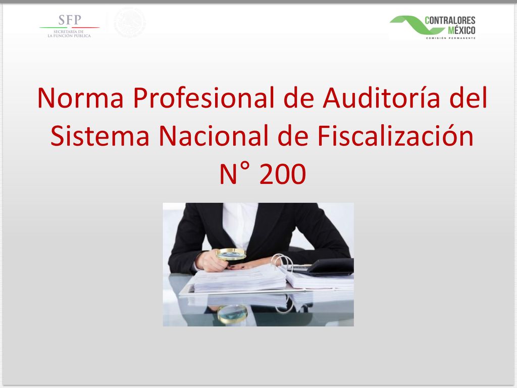 Norma Profesional de Auditoría del Sistema Nacional de Fiscalización N° 200
