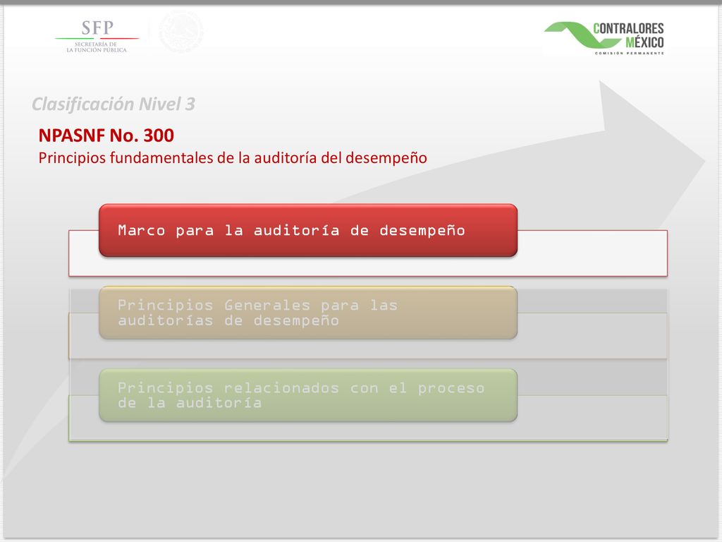 Clasificación Nivel 3 NPASNF No. 300