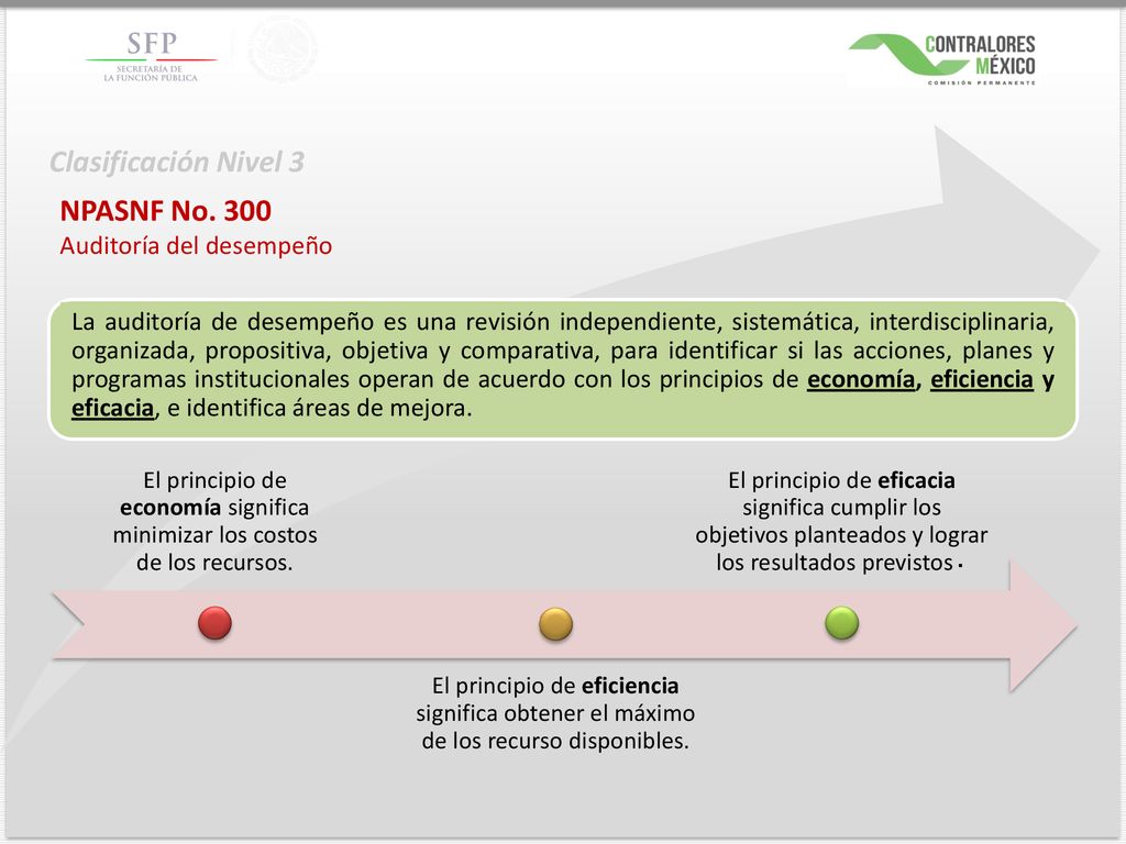 Clasificación Nivel 3 NPASNF No. 300 Auditoría del desempeño