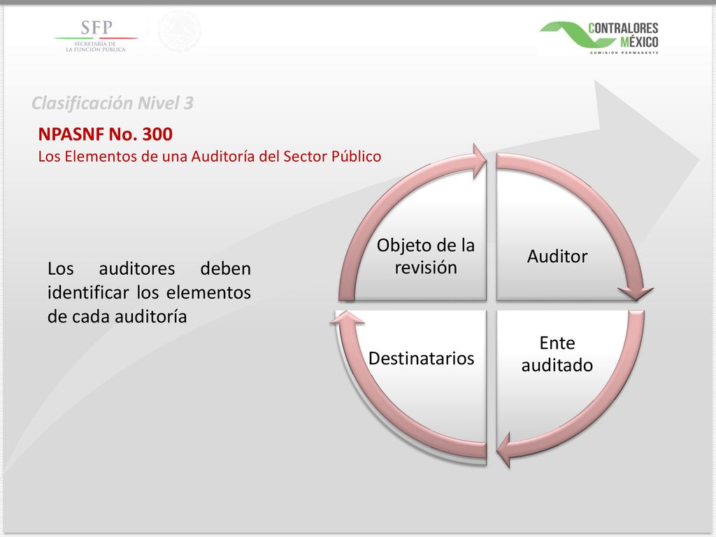 Los auditores deben identificar los elementos de cada auditoría