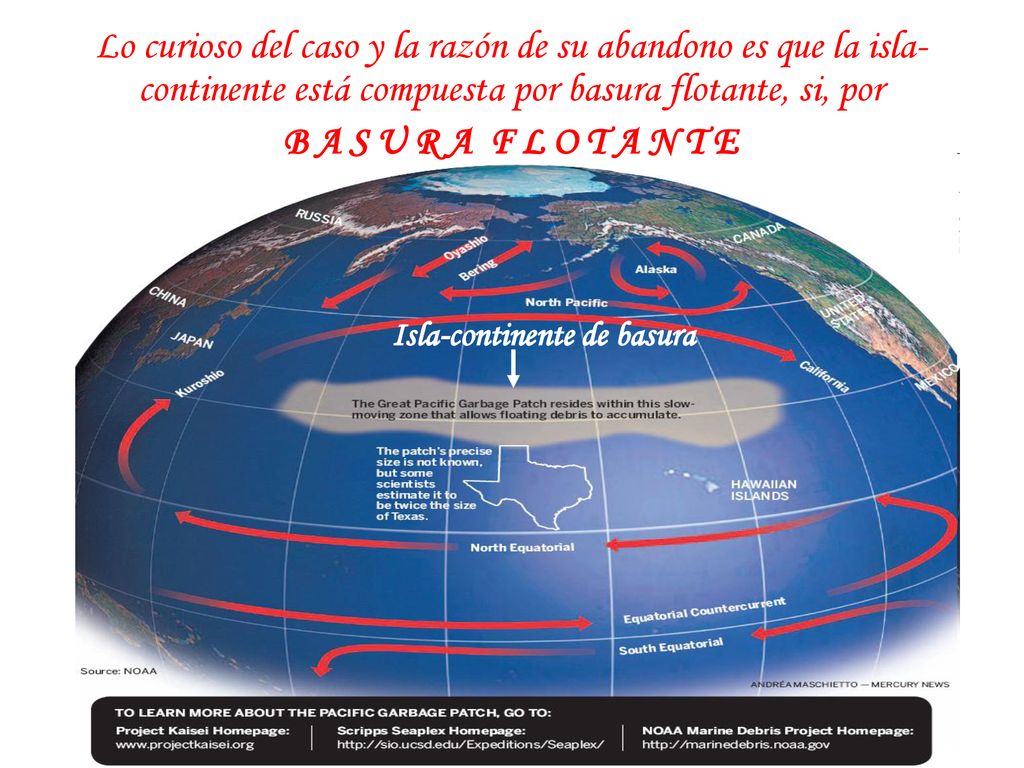 Lo curioso del caso y la razón de su abandono es que la isla-continente está compuesta por basura flotante, si, por