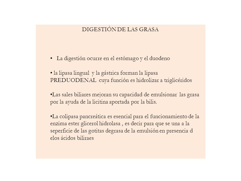 DIGESTIÓN DE LAS GRASA La digestión ocurre en el estómago y el duodeno.
