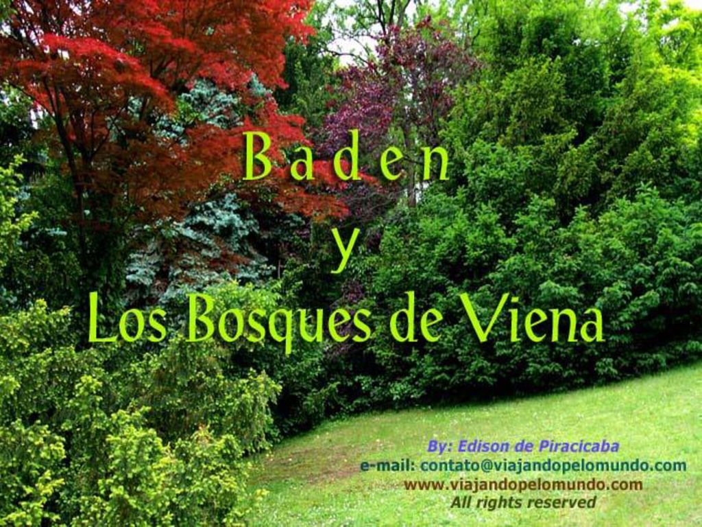 P BADEN - CAPA INICIAL EM ESPANHOL COM LEGENDA 0 FONTE PROSE ANTIQUE Regular 60 pt