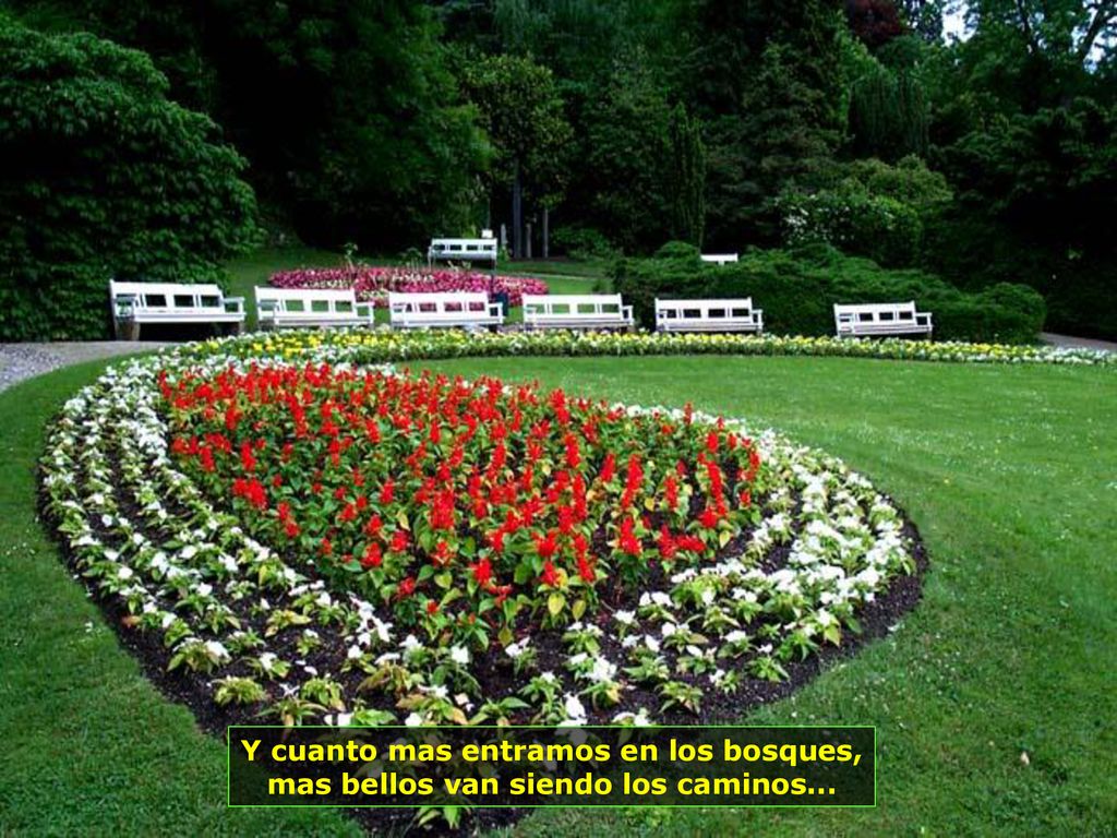 Y cuanto mas entramos en los bosques, mas bellos van siendo los caminos...