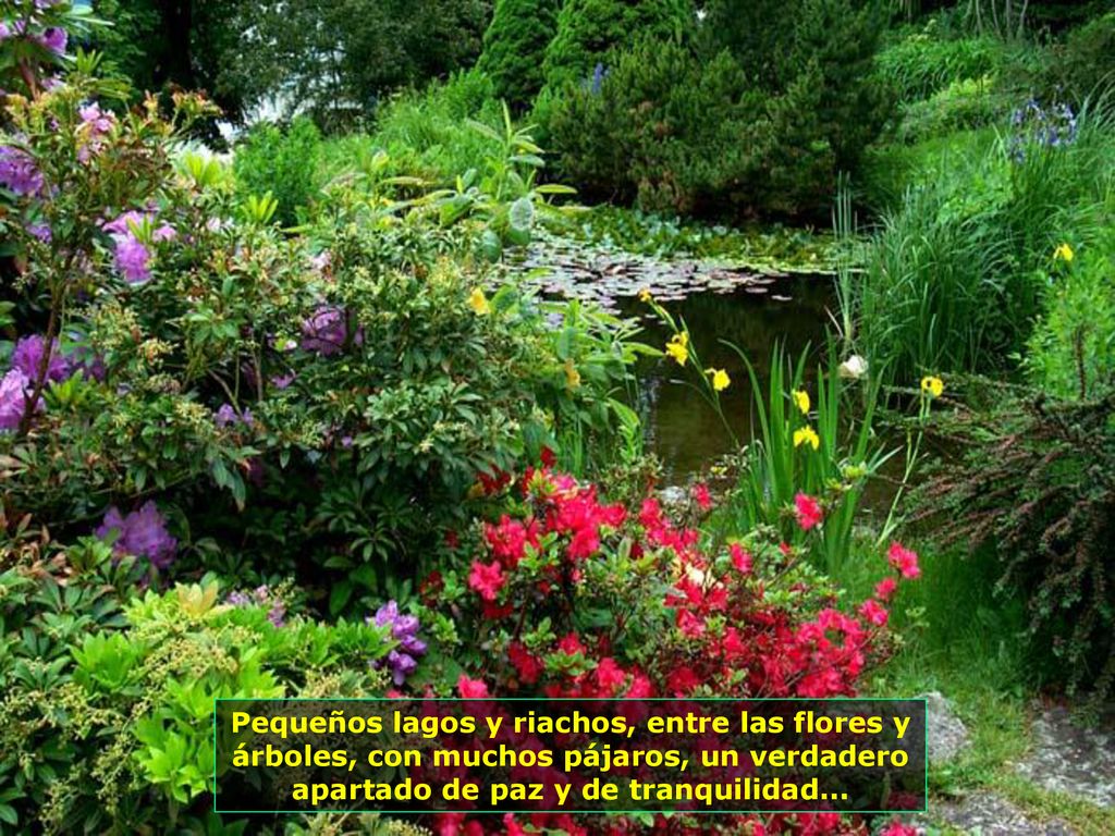 Pequeños lagos y riachos, entre las flores y árboles, con muchos pájaros, un verdadero apartado de paz y de tranquilidad...