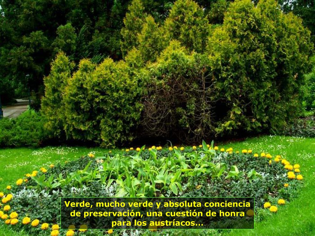 Verde, mucho verde y absoluta conciencia de preservación, una cuestión de honra para los austríacos...