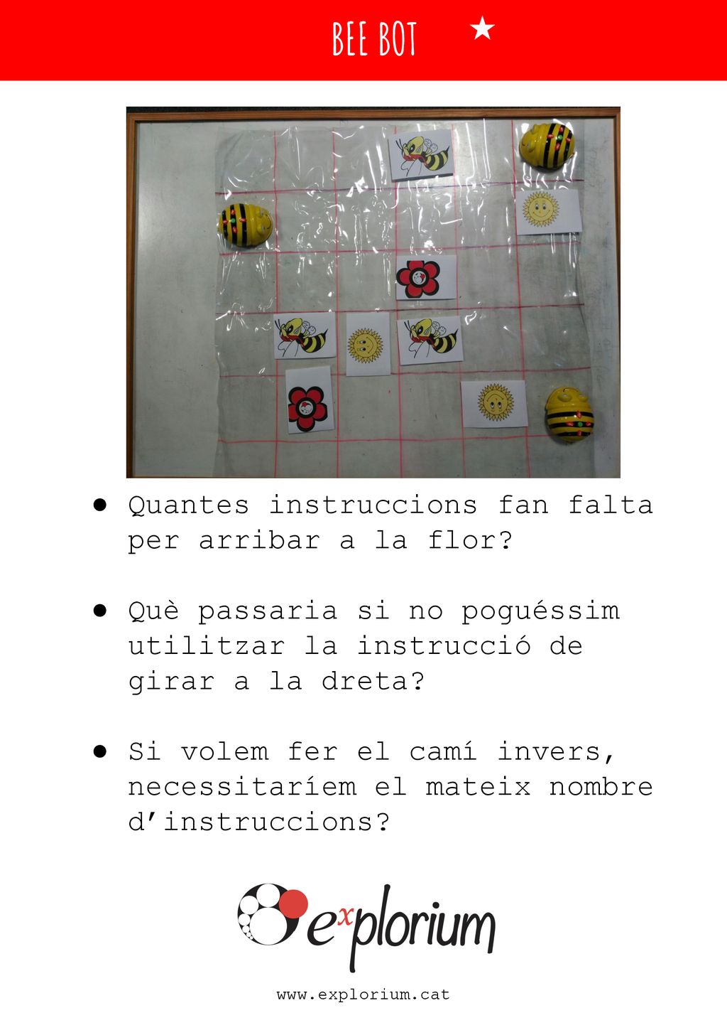 BEE BOT Quantes instruccions fan falta per arribar a la flor