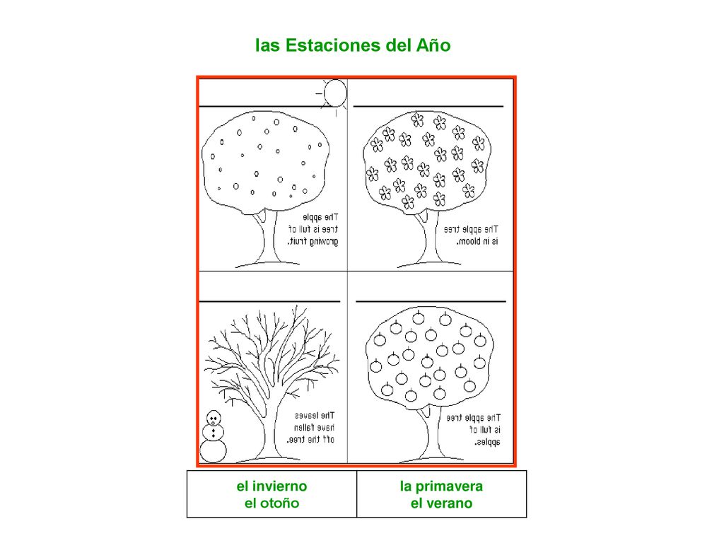 las Estaciones del Año el invierno el otoño la primavera el verano