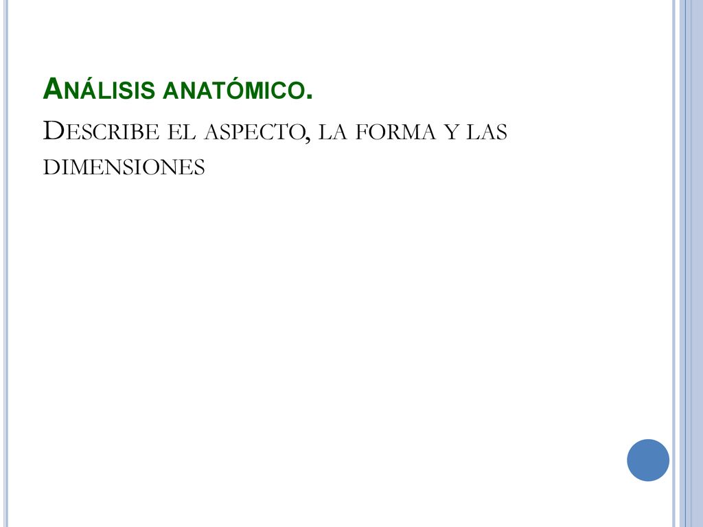 Análisis anatómico. Describe el aspecto, la forma y las dimensiones