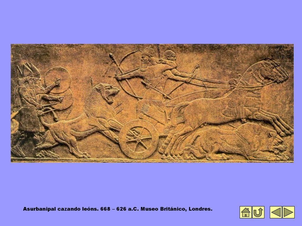 Asurbanipal cazando leóns. 668 – 626 a.C. Museo Británico, Londres.