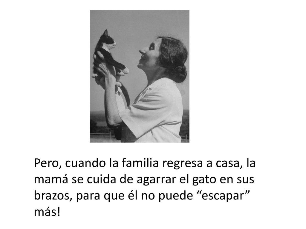 Pero, cuando la familia regresa a casa, la mamá se cuida de agarrar el gato en sus brazos, para que él no puede escapar más!