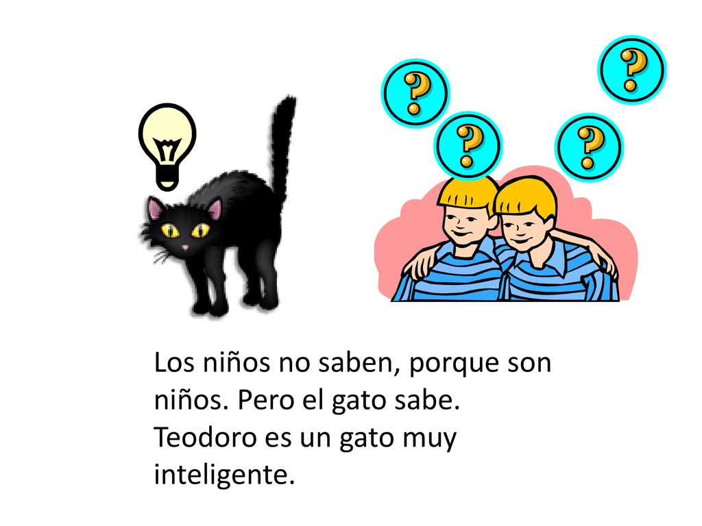 Los niños no saben, porque son niños. Pero el gato sabe