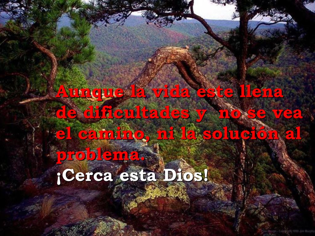 Aunque la vida este llena de dificultades y no se vea el camino, ni la solución al problema.