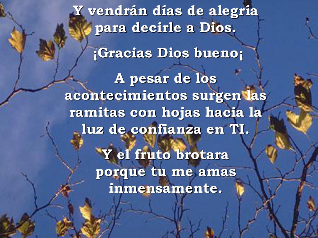 Y vendrán días de alegría para decirle a Dios. ¡Gracias Dios bueno¡