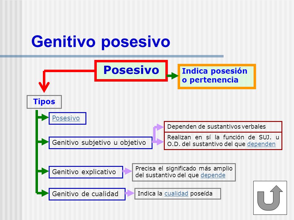 Genitivo posesivo Posesivo Indica posesión o pertenencia Tipos