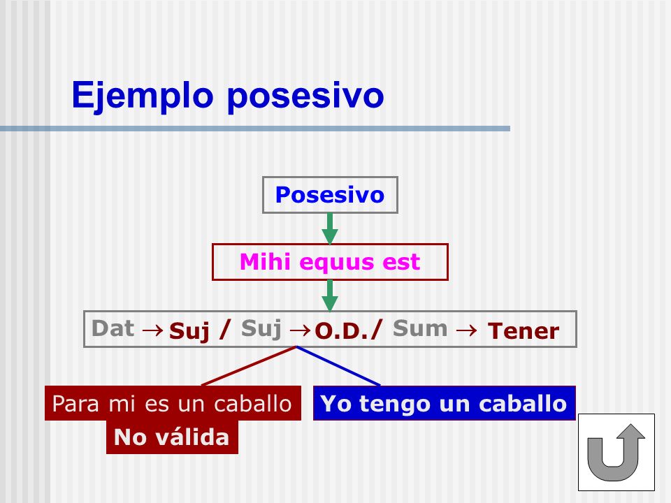 Ejemplo posesivo Posesivo Mihi equus est Dat  / Suj  / Sum  Suj