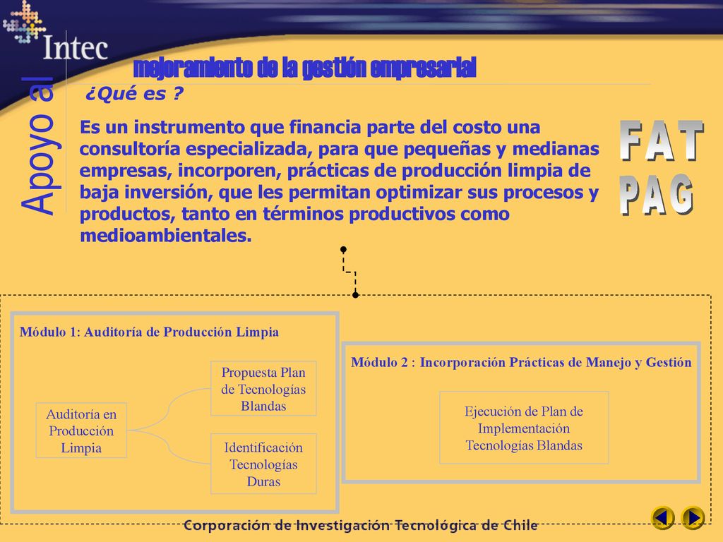 Apoyo al mejoramiento de la gestión empresarial FAT PAG ¿Qué es