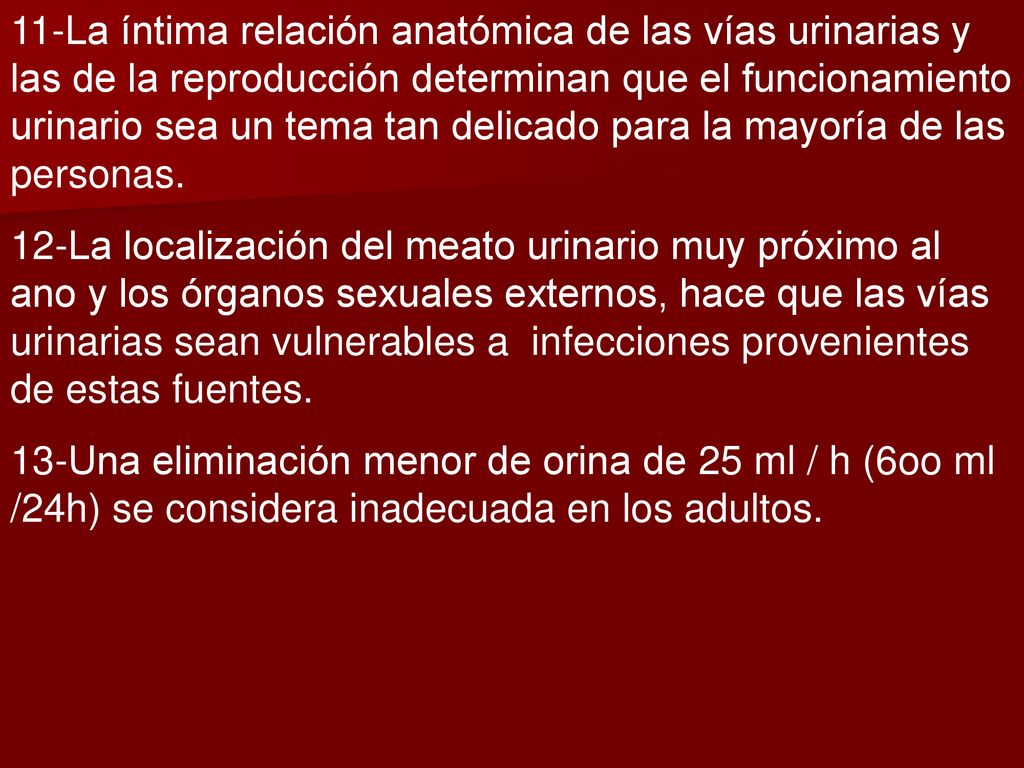 11-La íntima relación anatómica de las vías urinarias y las de la reproducción determinan que el funcionamiento urinario sea un tema tan delicado para la mayoría de las personas.