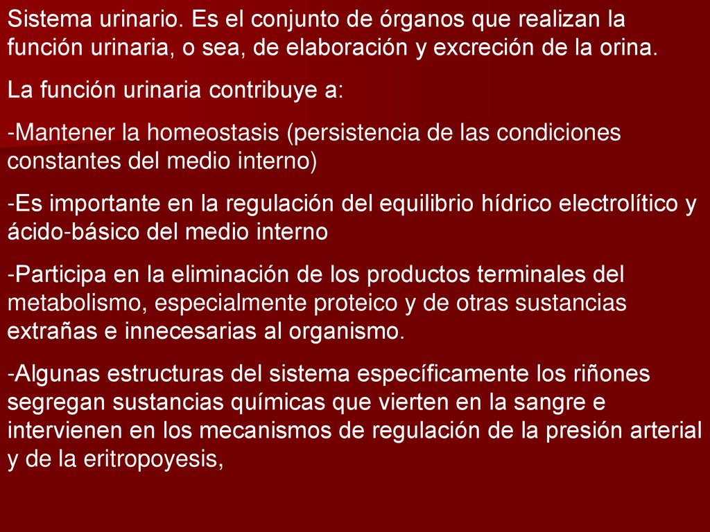 Sistema urinario. Es el conjunto de órganos que realizan la función urinaria, o sea, de elaboración y excreción de la orina.