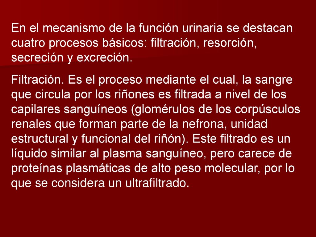 En el mecanismo de la función urinaria se destacan cuatro procesos básicos: filtración, resorción, secreción y excreción.