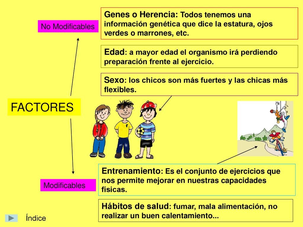 Genes o Herencia: Todos tenemos una información genética que dice la estatura, ojos verdes o marrones, etc.