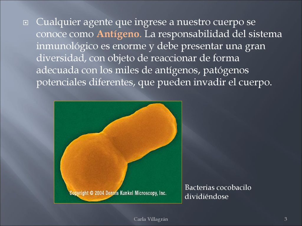 Cualquier agente que ingrese a nuestro cuerpo se conoce como Antígeno