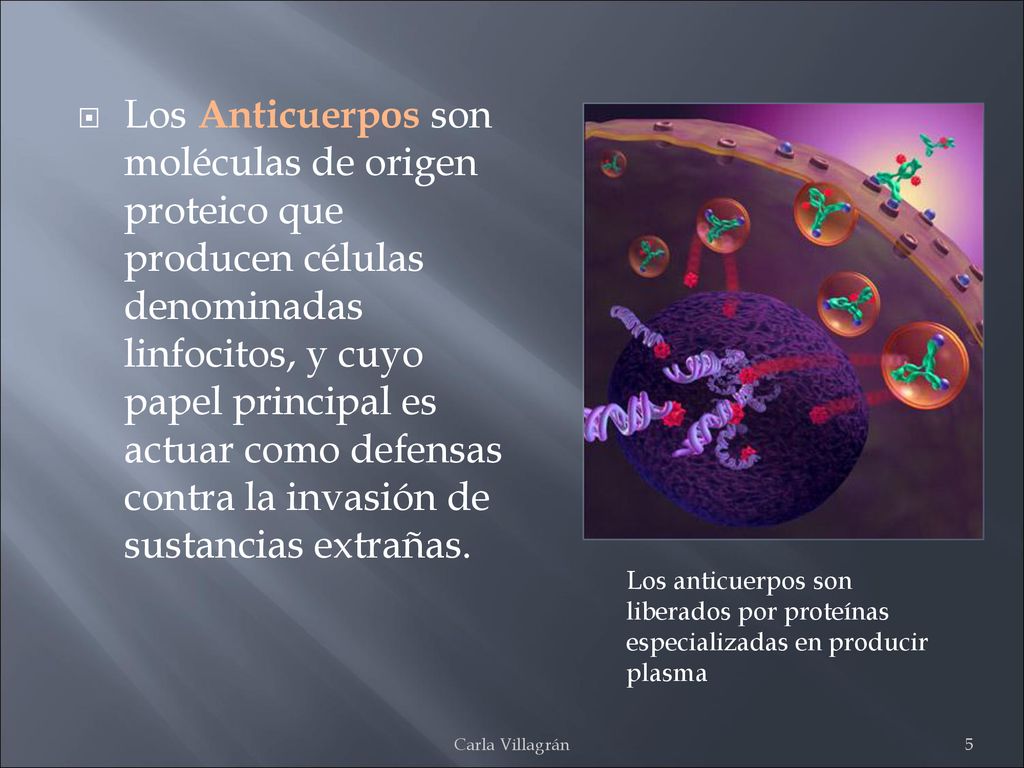 Los Anticuerpos son moléculas de origen proteico que producen células denominadas linfocitos, y cuyo papel principal es actuar como defensas contra la invasión de sustancias extrañas.