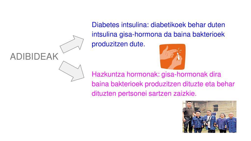 Diabetes intsulina: diabetikoek behar duten intsulina gisa-hormona da baina bakterioek produzitzen dute.