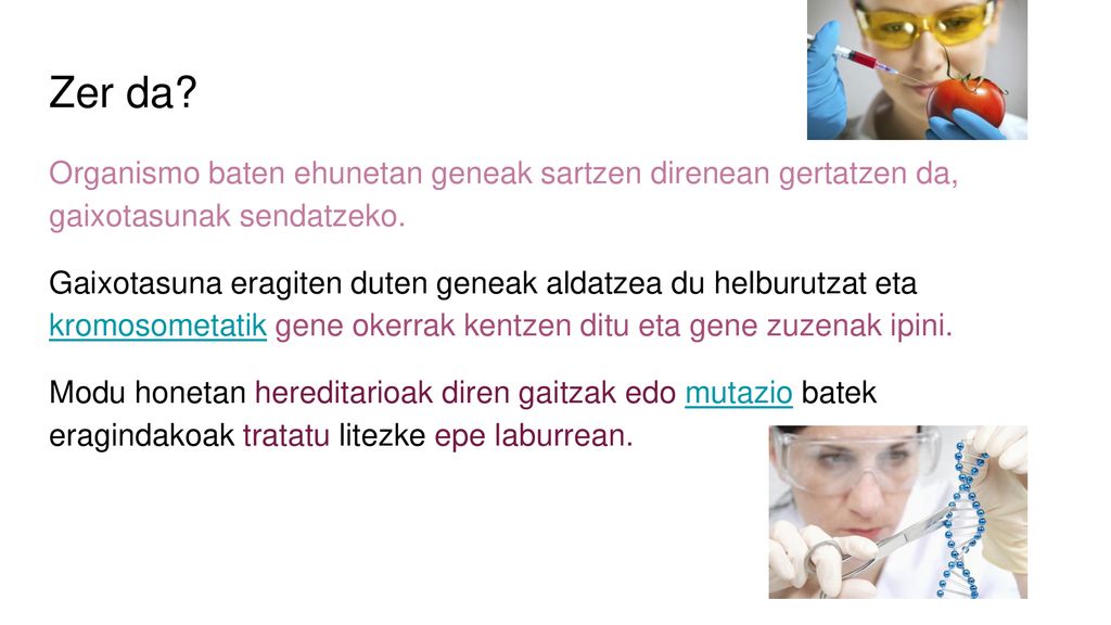 Zer da Organismo baten ehunetan geneak sartzen direnean gertatzen da, gaixotasunak sendatzeko.
