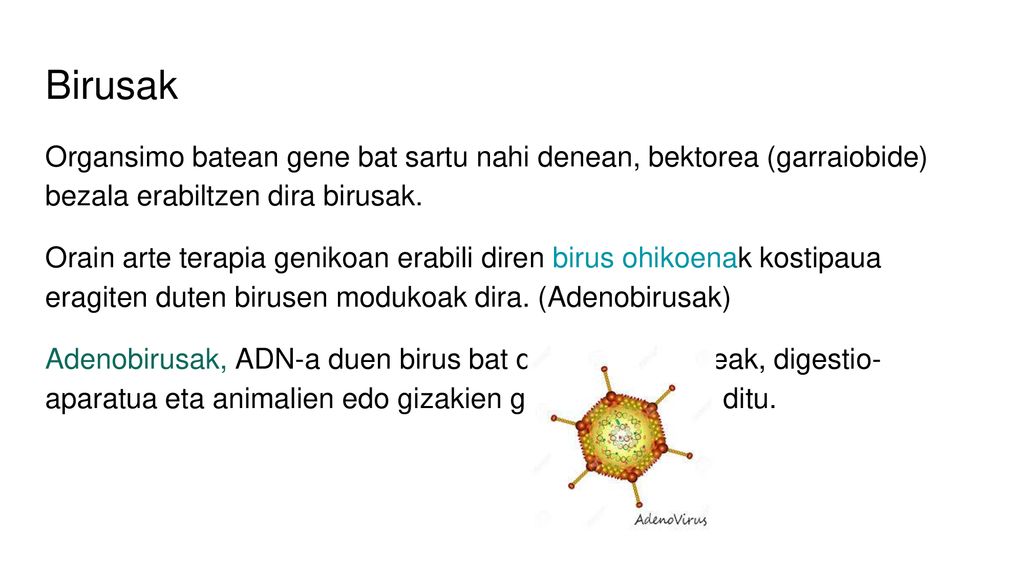 Birusak Organsimo batean gene bat sartu nahi denean, bektorea (garraiobide) bezala erabiltzen dira birusak.