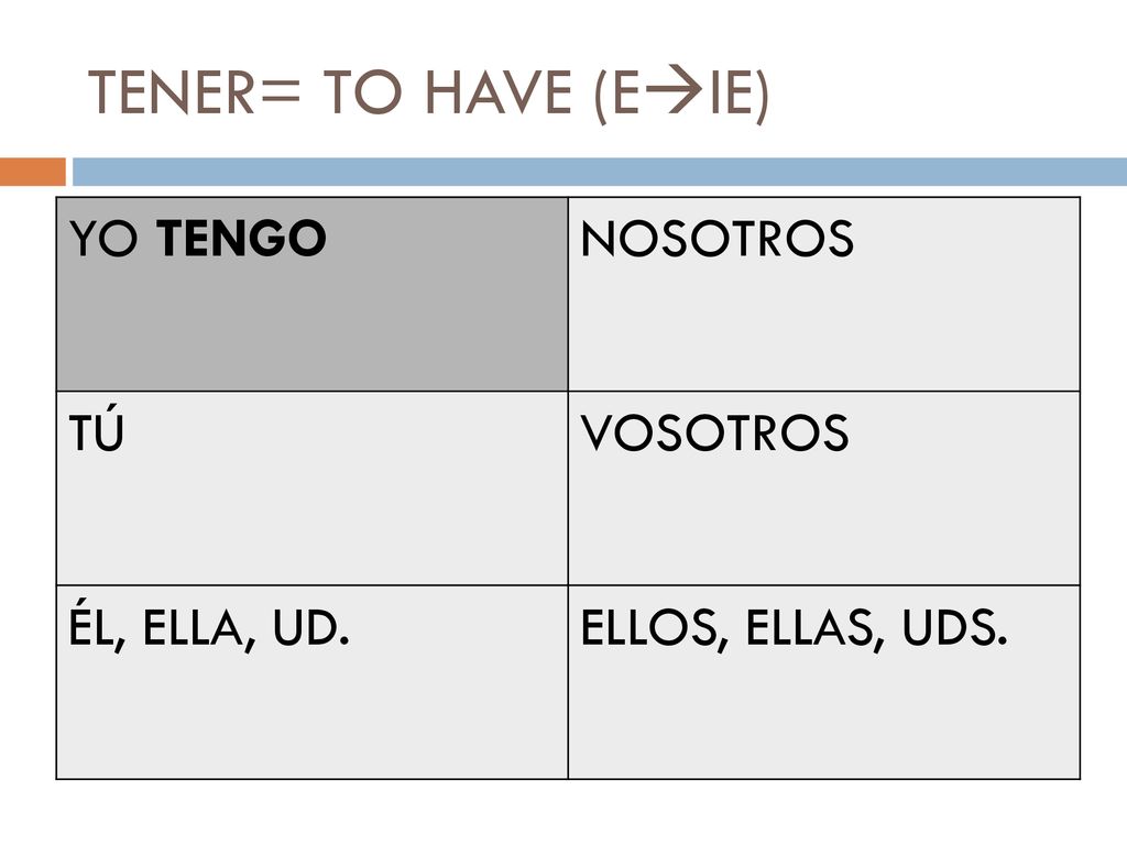 TENER= TO HAVE (EIE) YO TENGO NOSOTROS TÚ VOSOTROS ÉL, ELLA, UD.