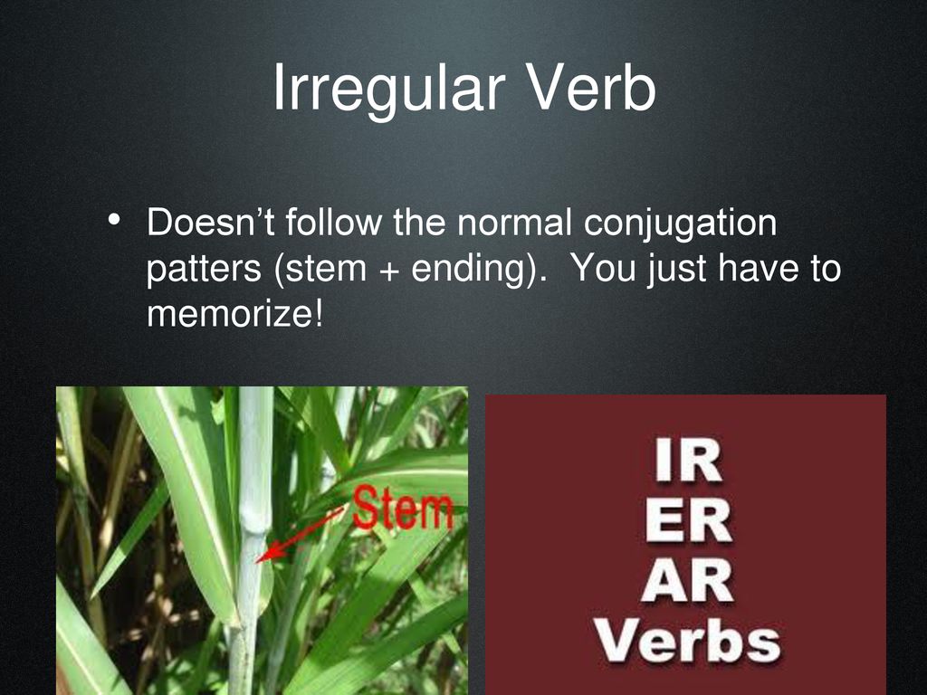 Irregular Verb Doesn’t follow the normal conjugation patters (stem + ending).