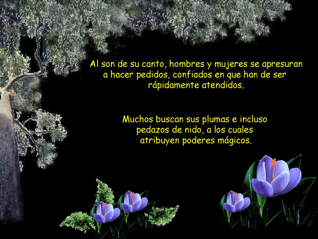 Al son de su canto, hombres y mujeres se apresuran