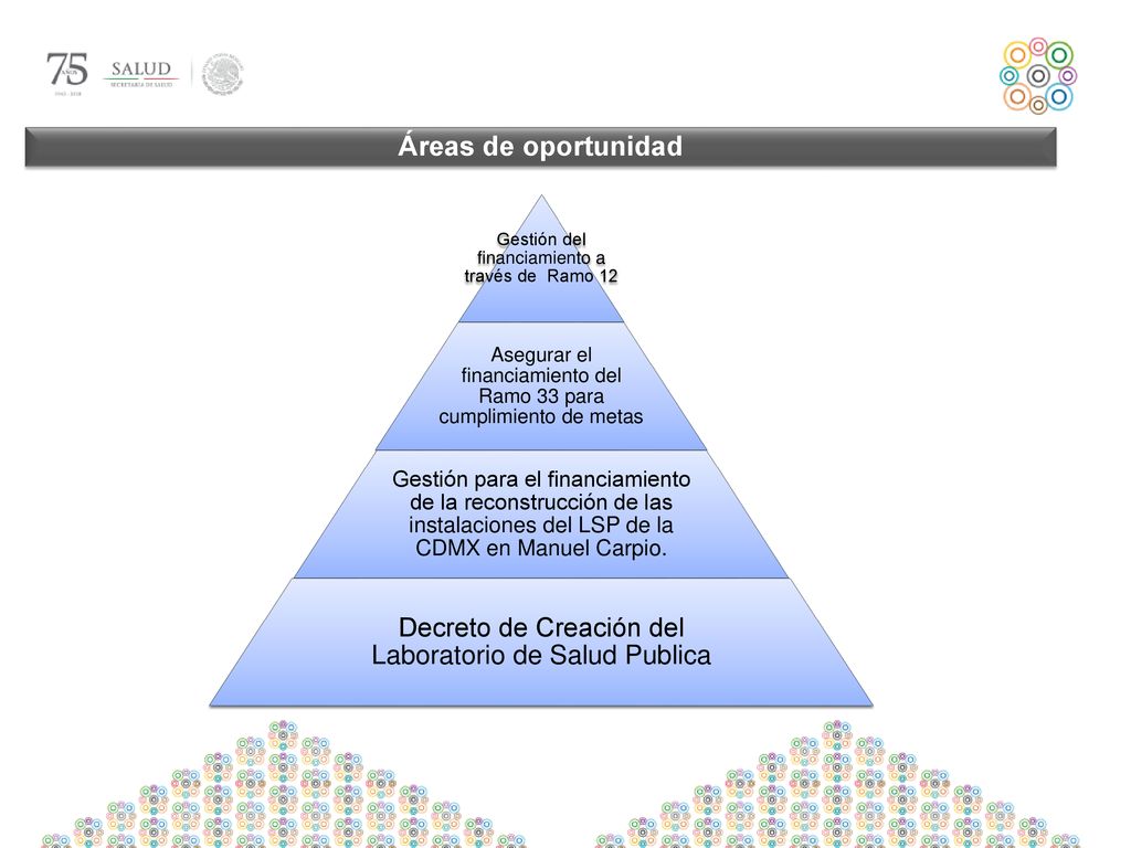 Áreas de oportunidad Gestión del financiamiento a través de Ramo 12. Asegurar el financiamiento del Ramo 33 para cumplimiento de metas.