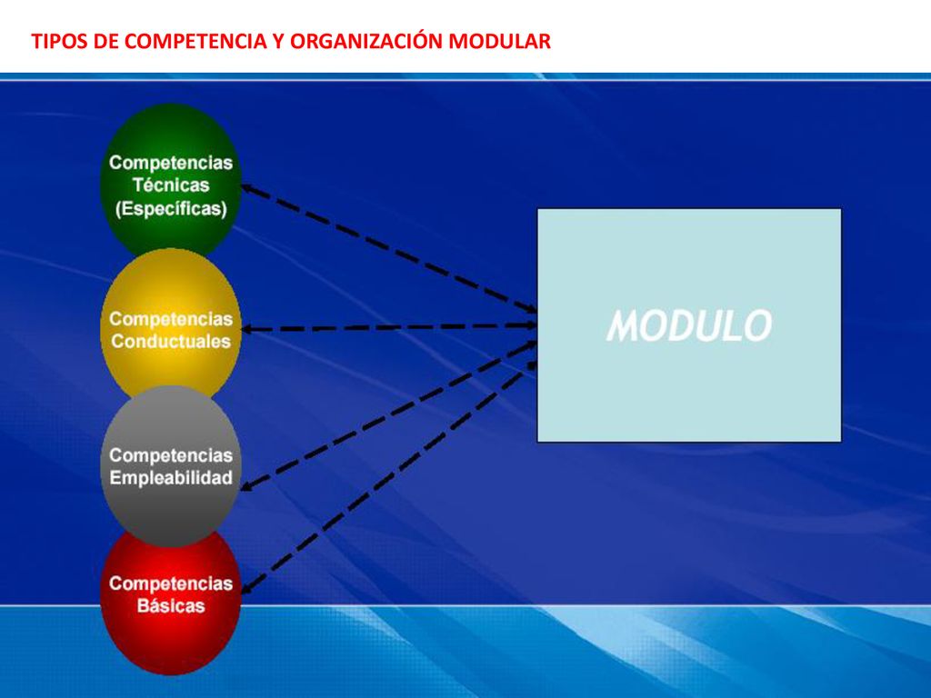 TIPOS DE COMPETENCIA Y ORGANIZACIÓN MODULAR