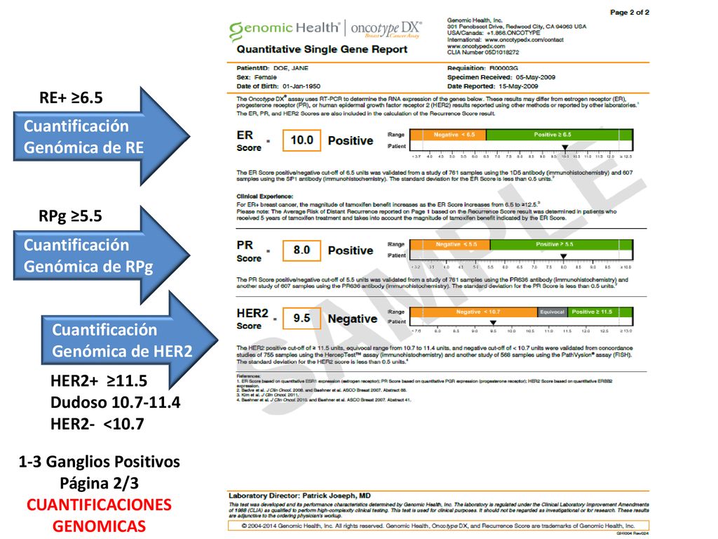 Cuantificación Genómica de RE. RE+ ≥6.5. Cuantificación. Genómica de RPg. RPg ≥5.5. Cuantificación.