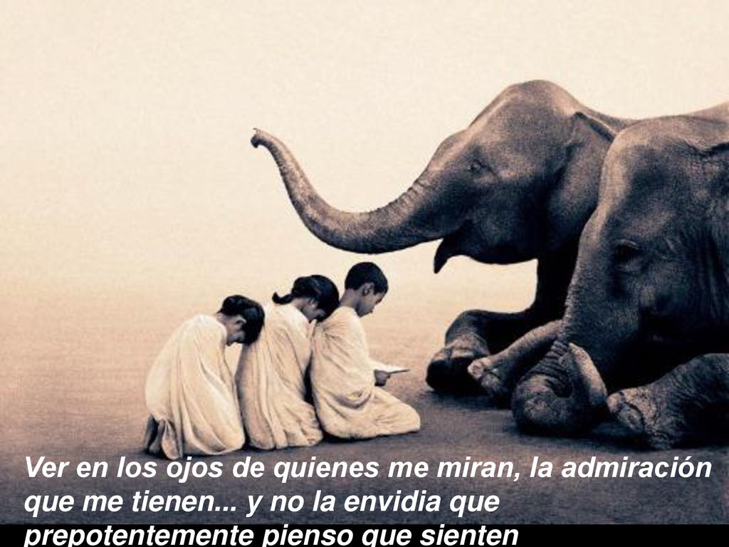 Ver en los ojos de quienes me miran, la admiración