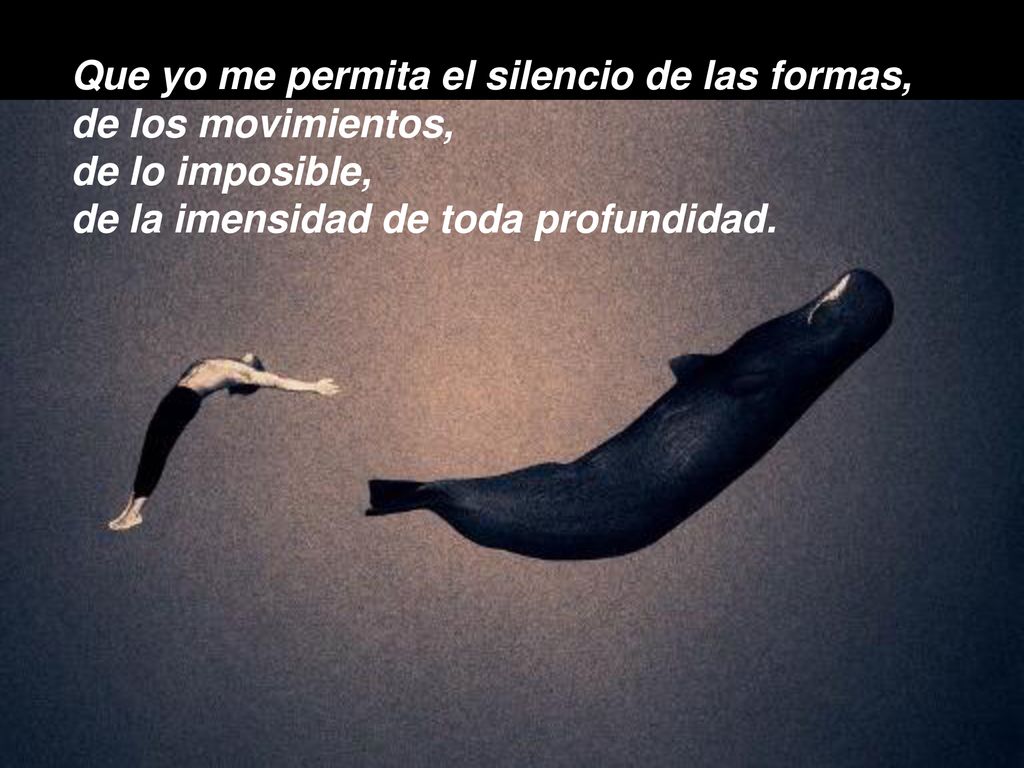 Que yo me permita el silencio de las formas,