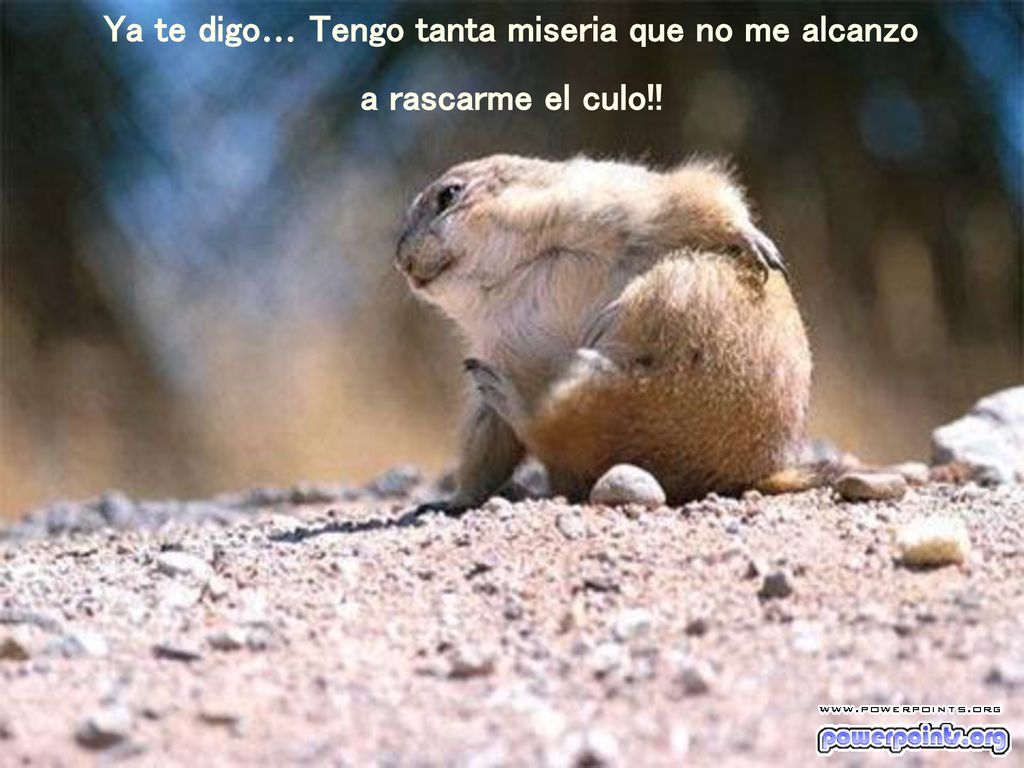 Ya te digo… Tengo tanta miseria que no me alcanzo